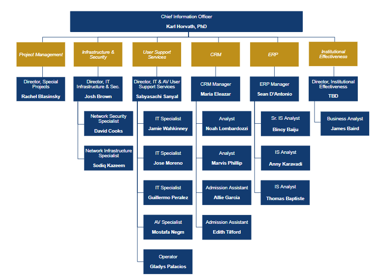 IT Org Chart